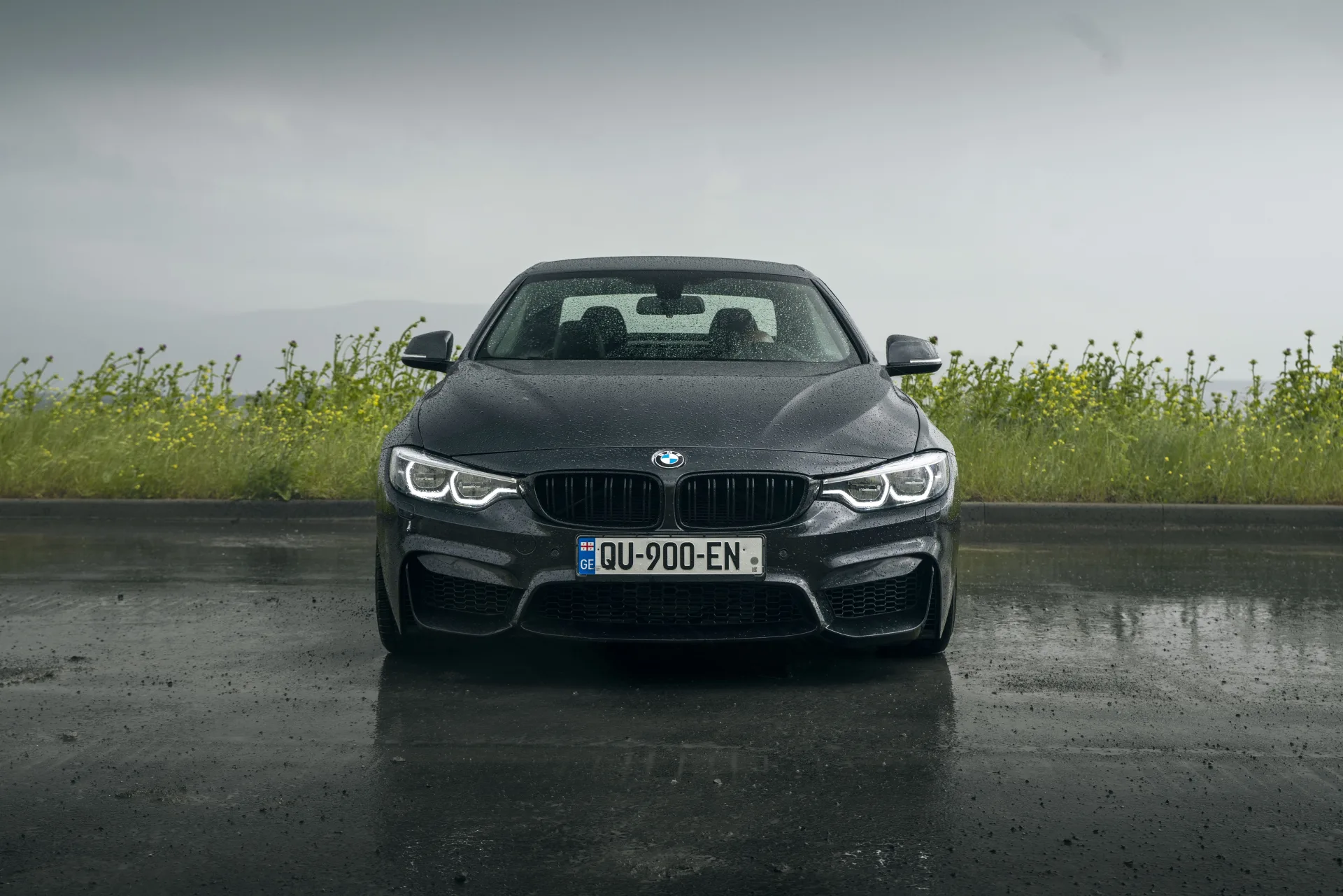 BMW 428i Cabrio 2015 - rear view - RentGeo Cars