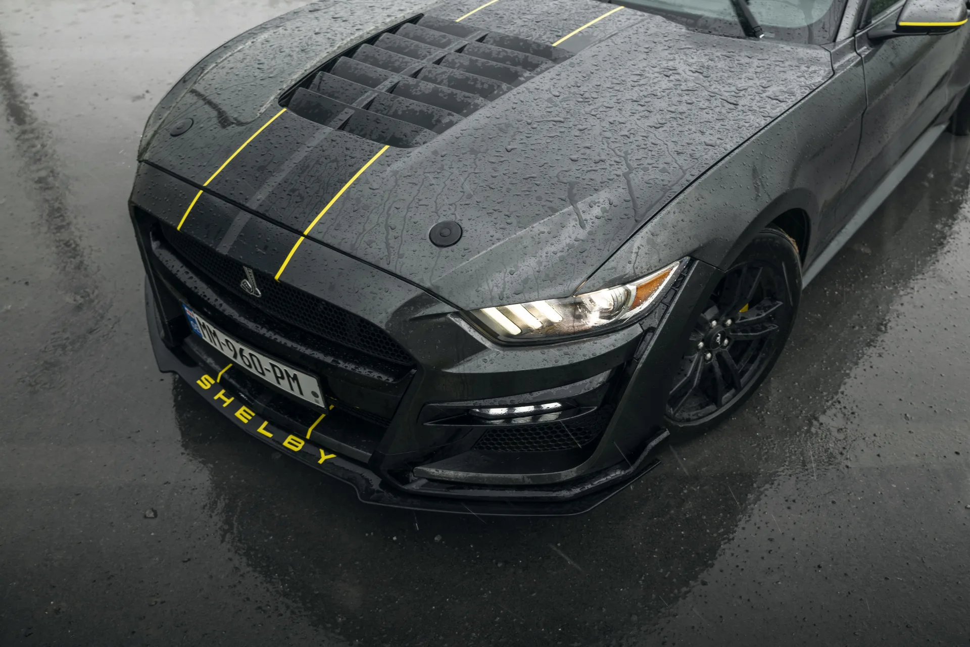 Ford Mustang 2015 - rear view - RentGeo Cars